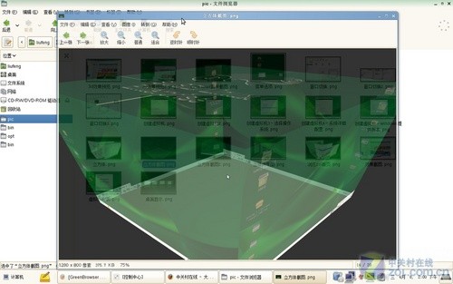 SUSE Linux 11ϵͳװӦ 