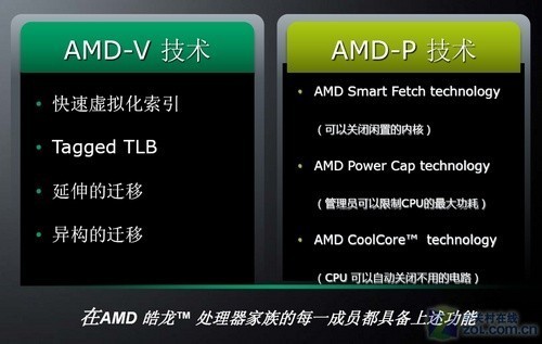 AMD"˹̹"˴չĴ