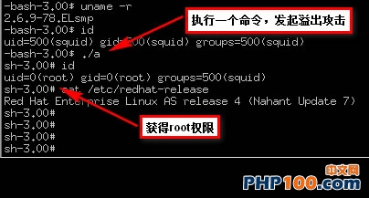 Linuxֱش©ֱӻȡrootȨ 