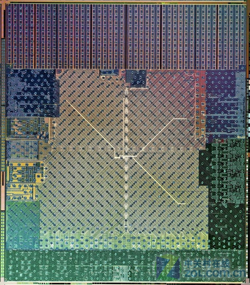 㲻ɶ 10괦ҵŻع 