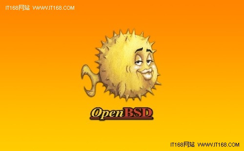 OpenBSD 4.8ʽĽӲ֧