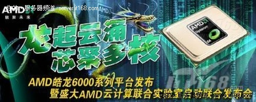 壺AMD6100ϵ