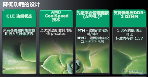 ӿо۶ AMD6000ƽ̨ 