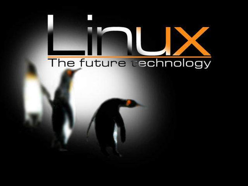 Ĵlinuxϵͳά 