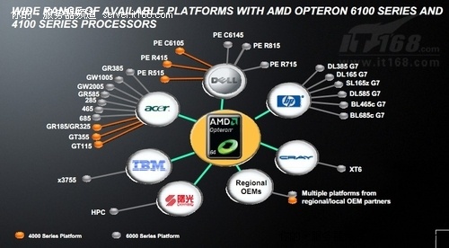 ץг AMD͸¶