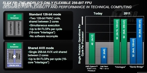 ץг AMD͸¶