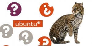 Canonical:Ubuntu 11.10ľŴ±仯 