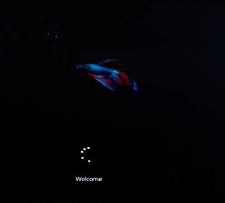 Windows 8 M3 Build 7989ǰй¶ 