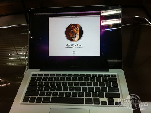 Lion