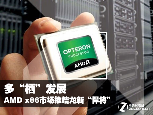 ࡰܡչ AMD x86г¡ 