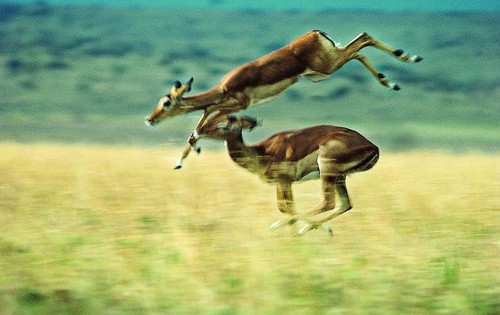 عЩһ׷ľUbuntu 