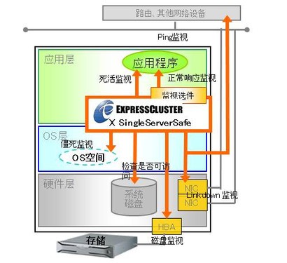 ȵ Intel AMDȳƵƵ 