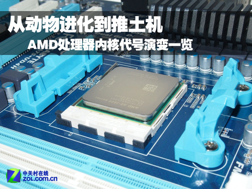 ݽʷ AMD̵ 