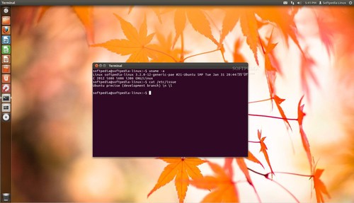 ԴҲѤ Ubuntu 12.04 LTSͬ