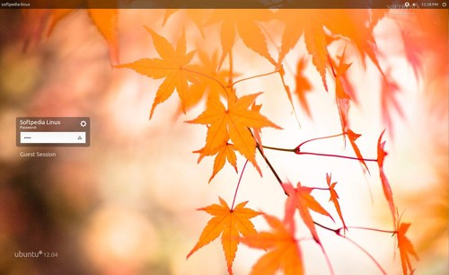 ԴҲѤ Ubuntu 12.04 LTSͬ
